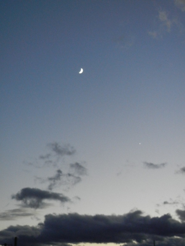 星
