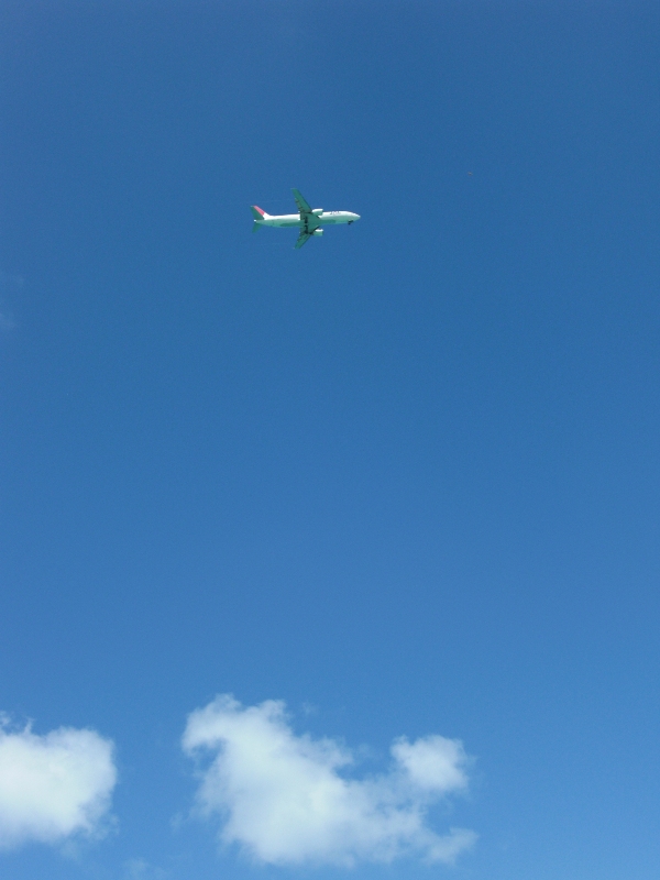 飛行機