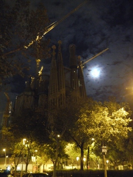 DSCN4100