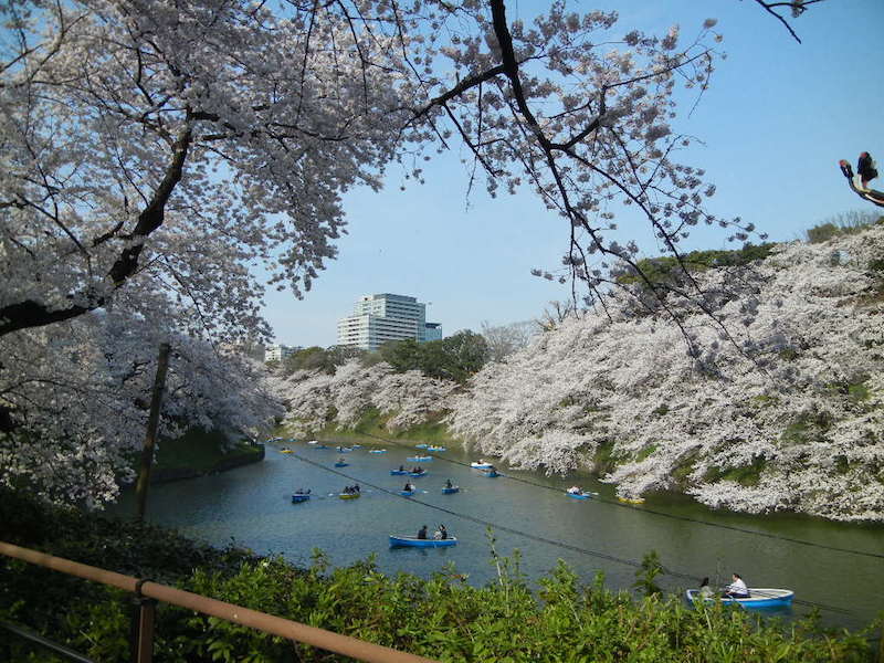 DSCN6478