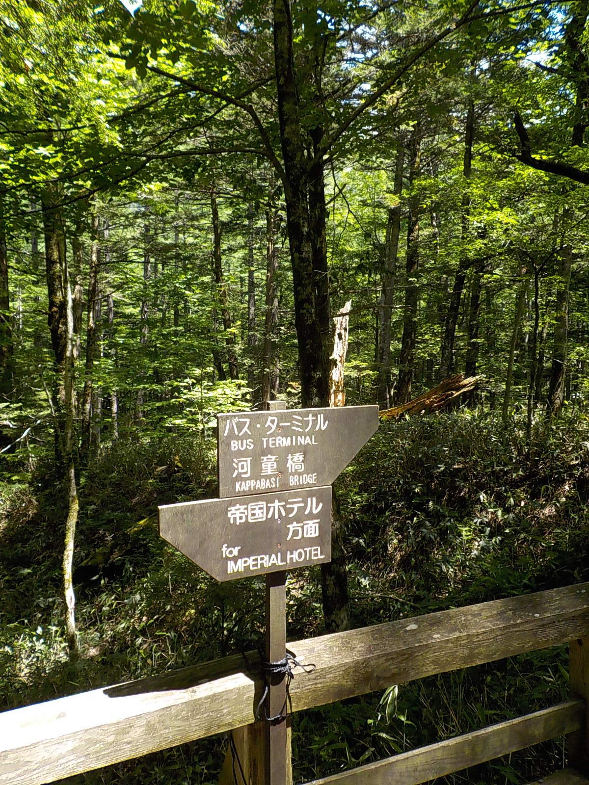 DSCN1714