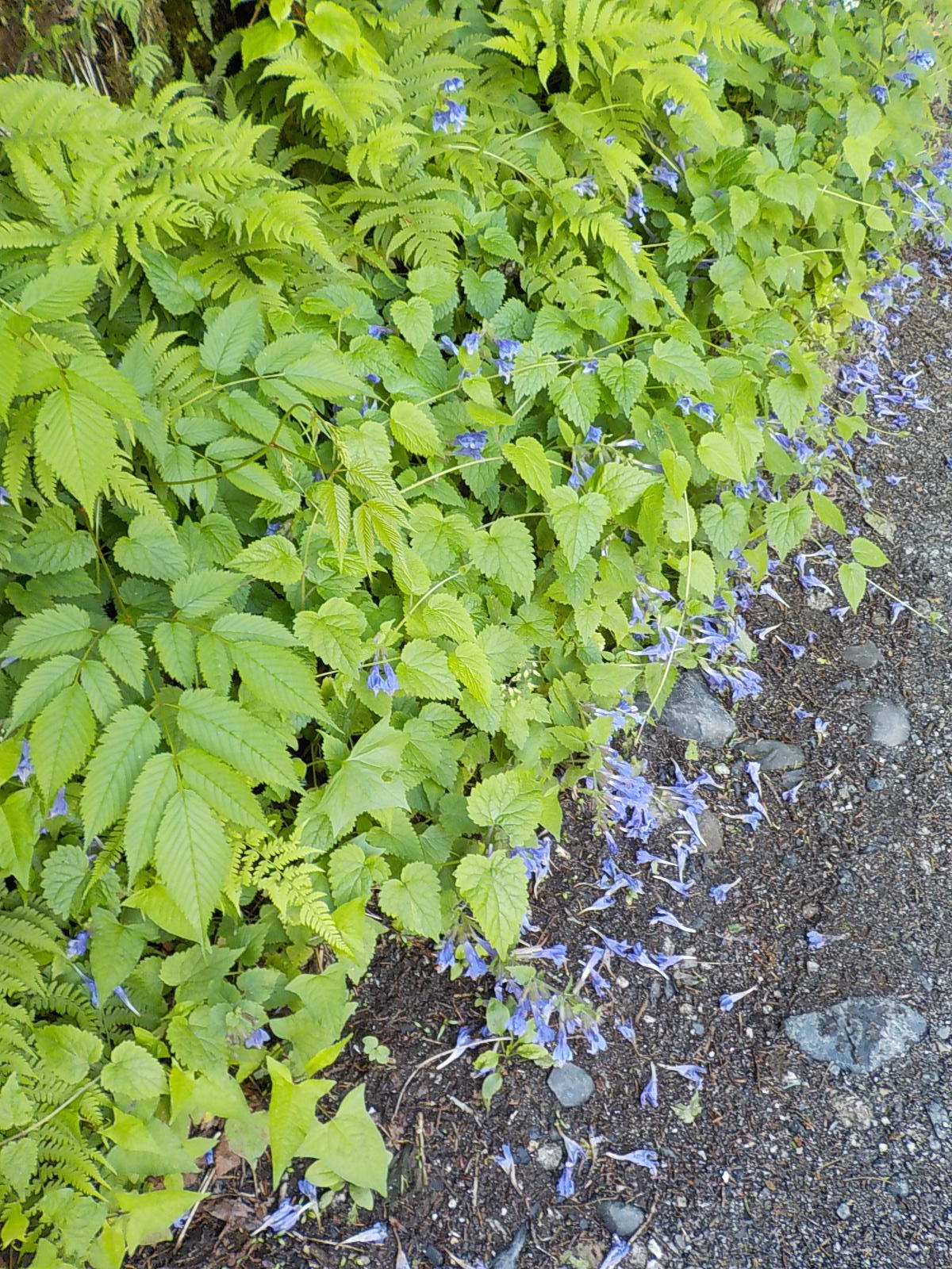 DSCN1864
