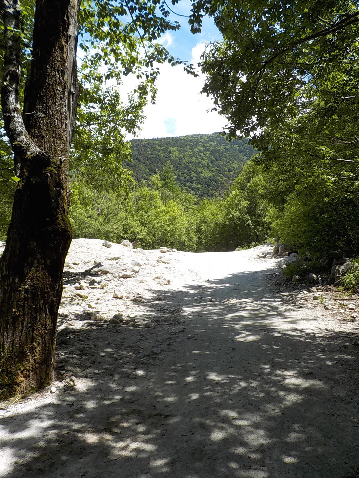DSCN1875