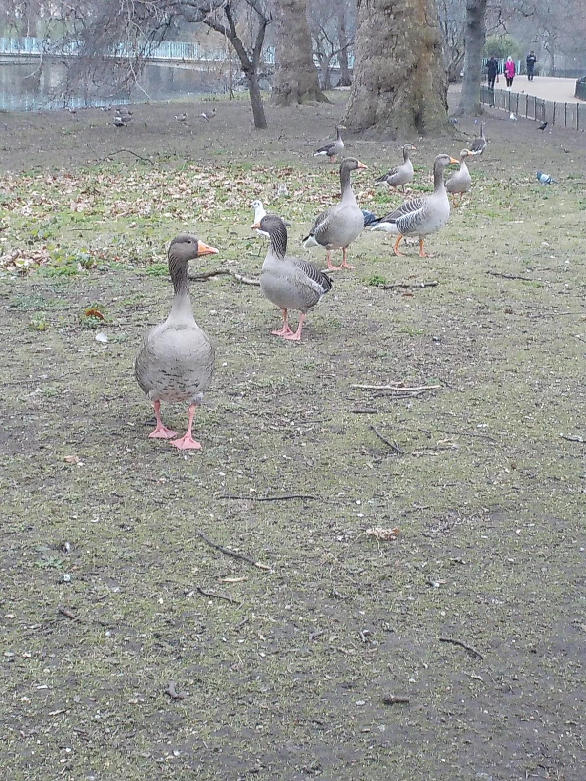 DSCN6678