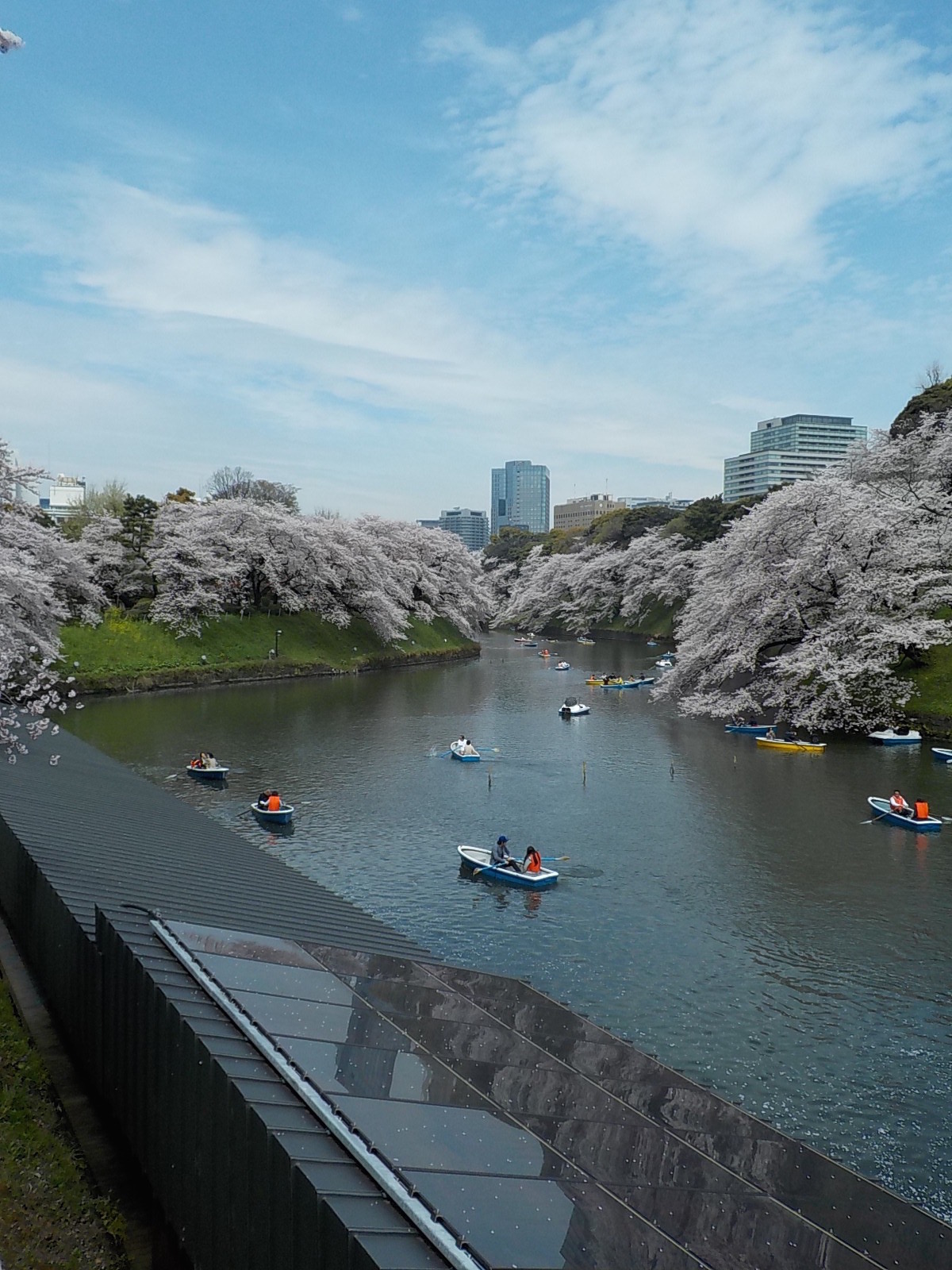 DSCN9885