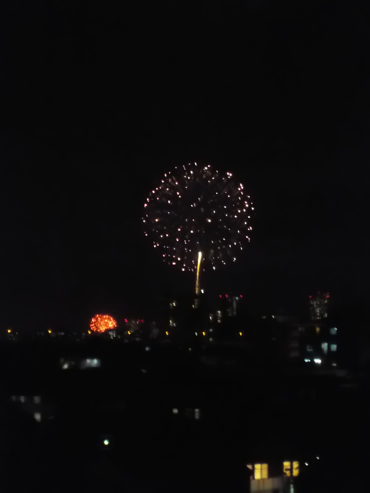 DSCN2838