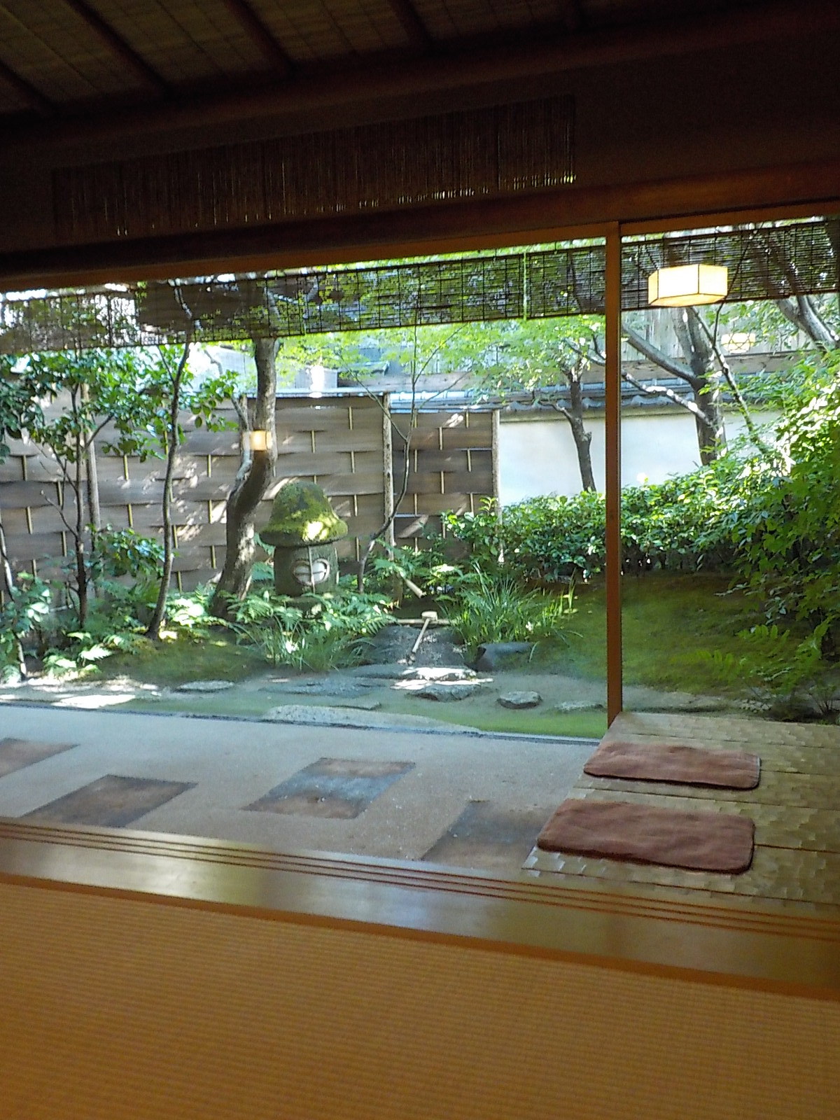 DSCN3541