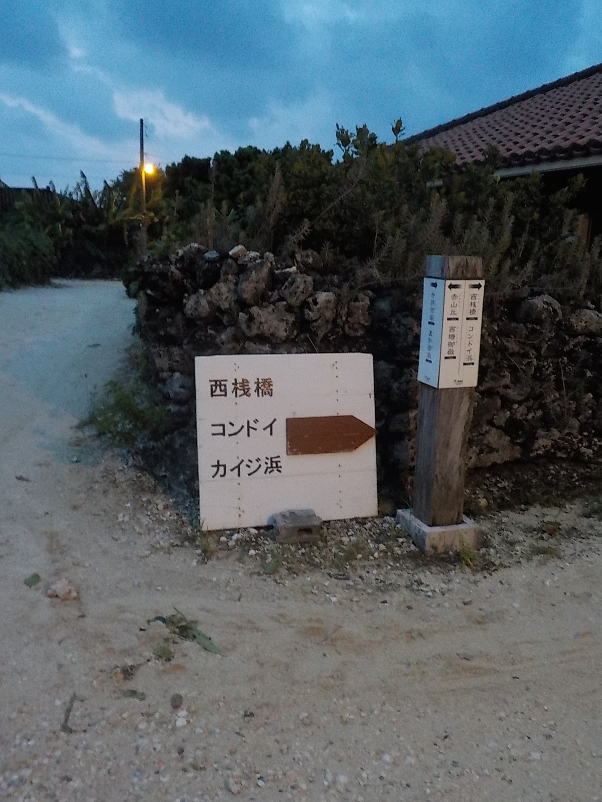 DSCN4212