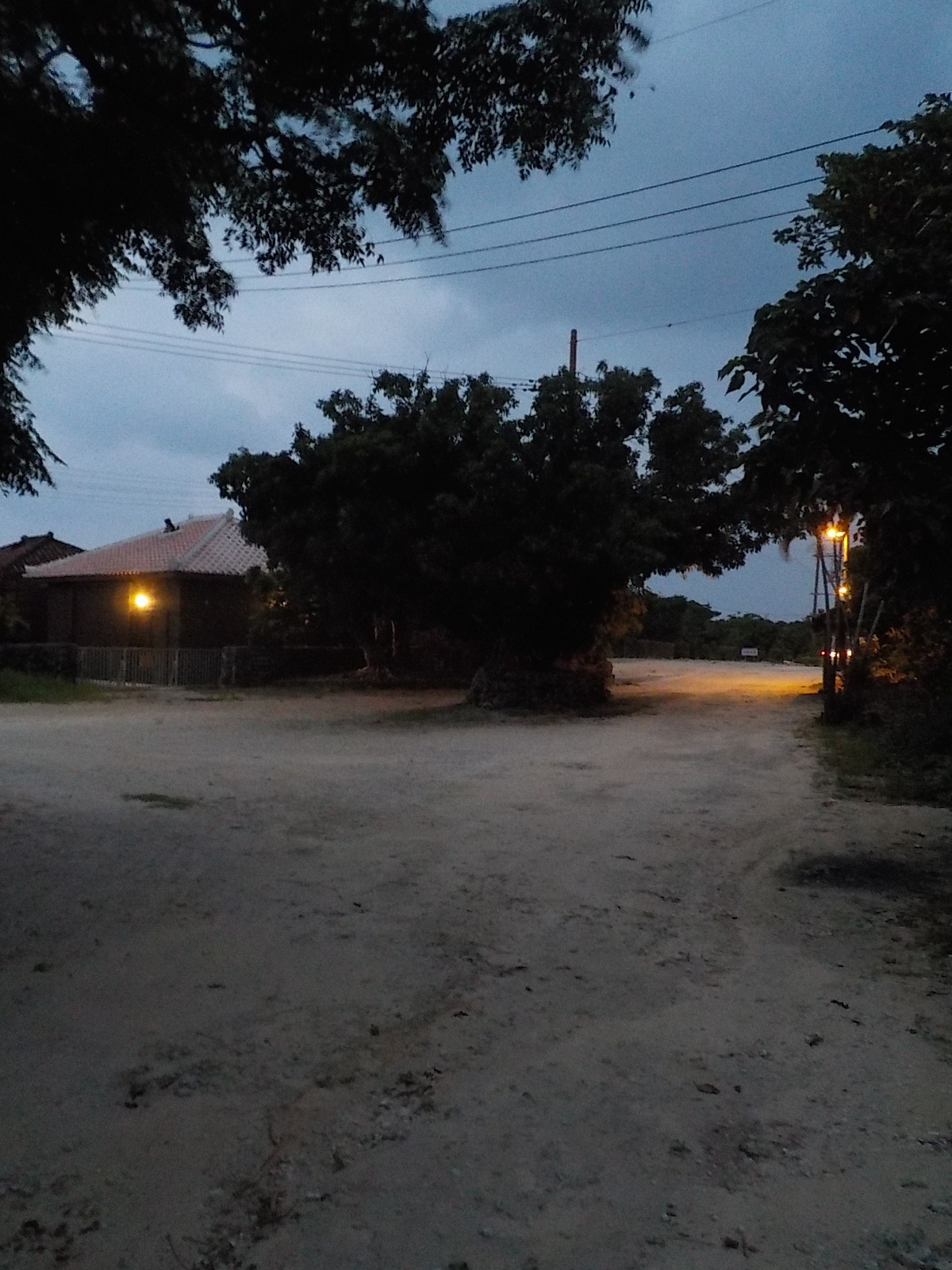 DSCN4230