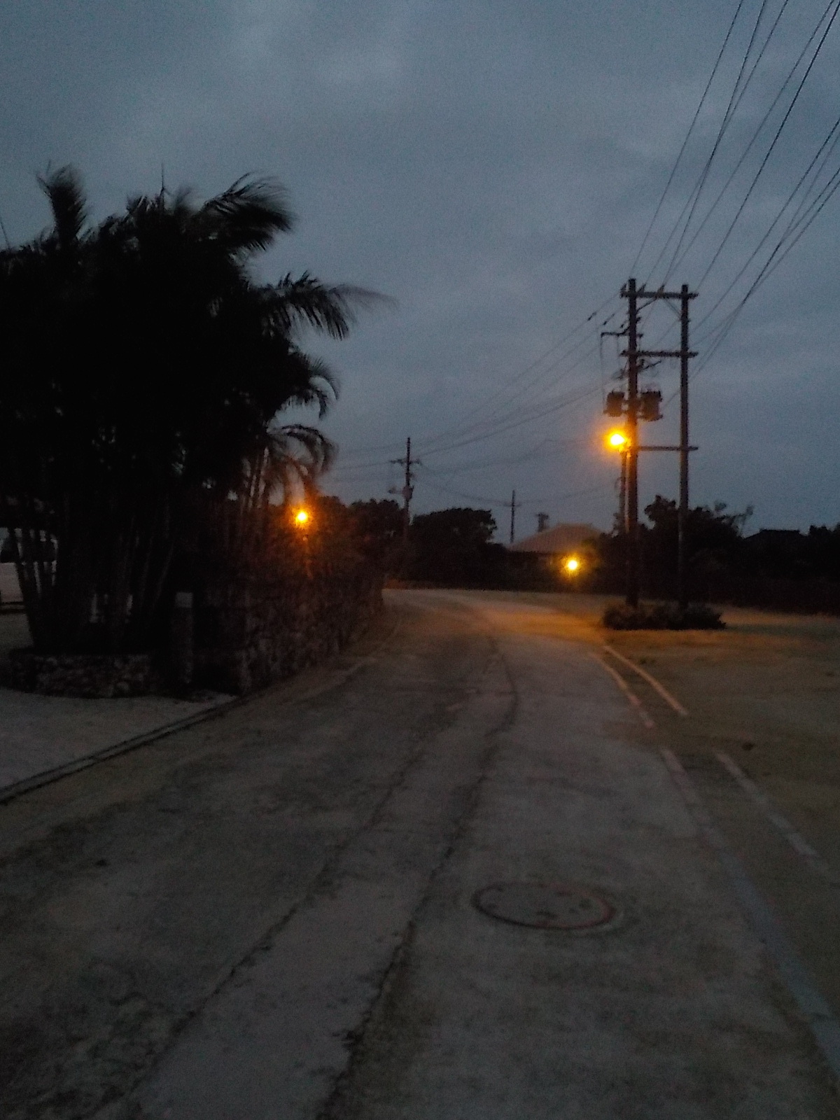 DSCN4248