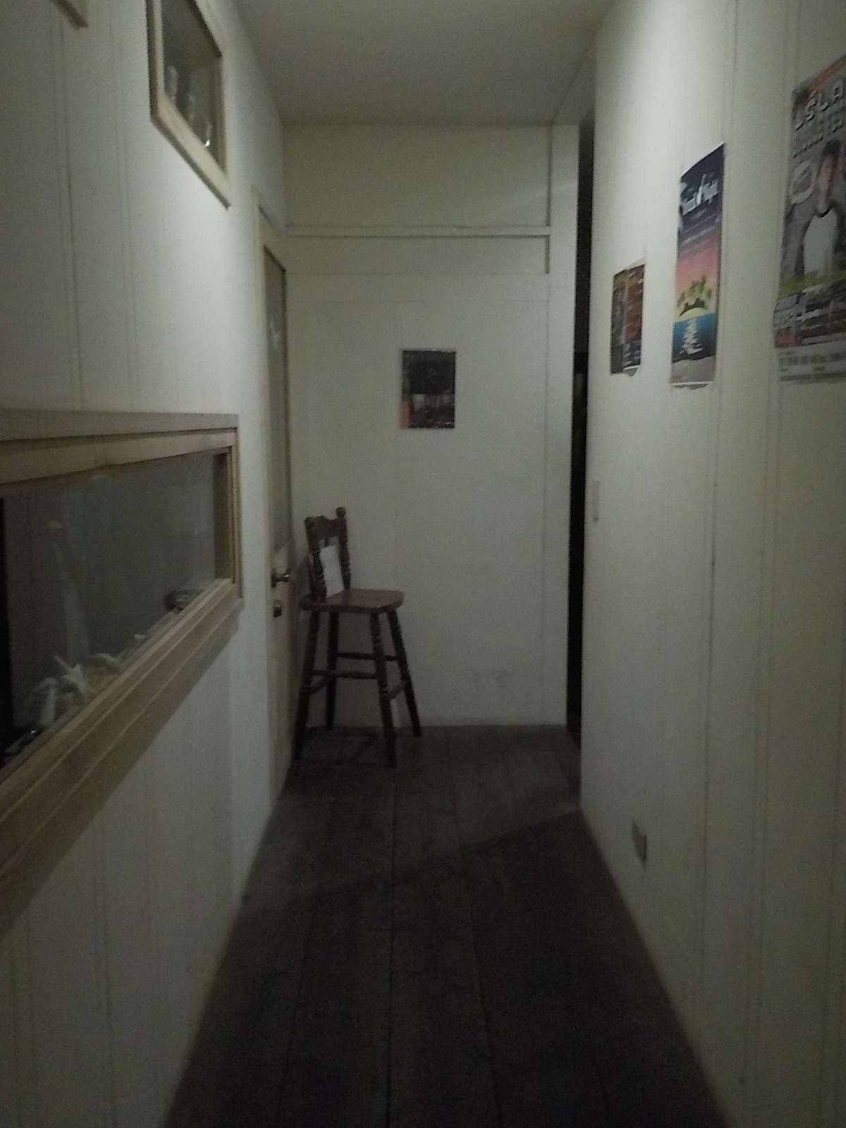 DSCN4481