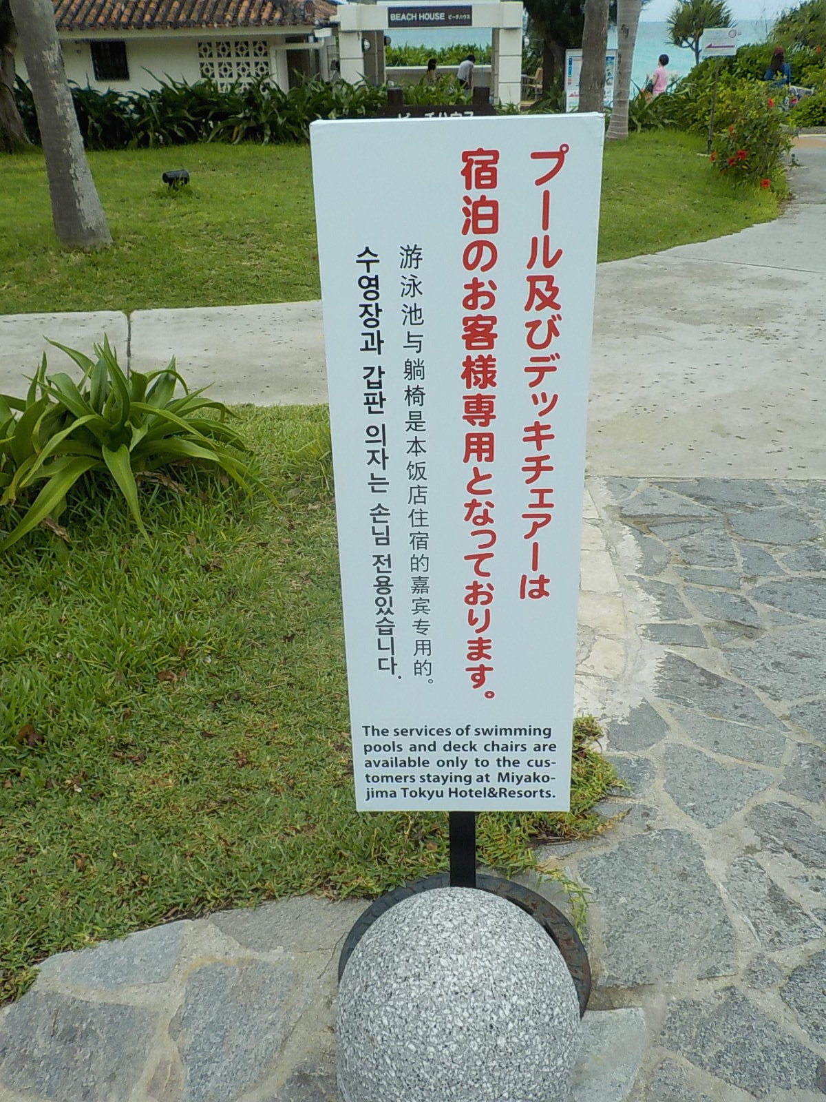 DSCN4526