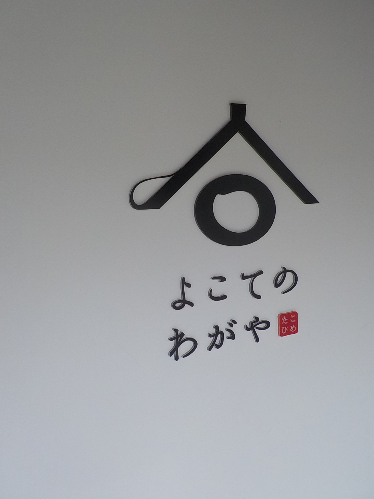 DSCN6065