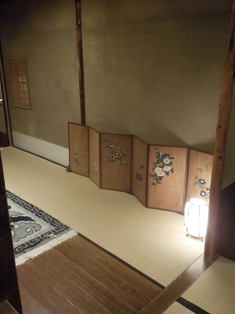 DSCN3092