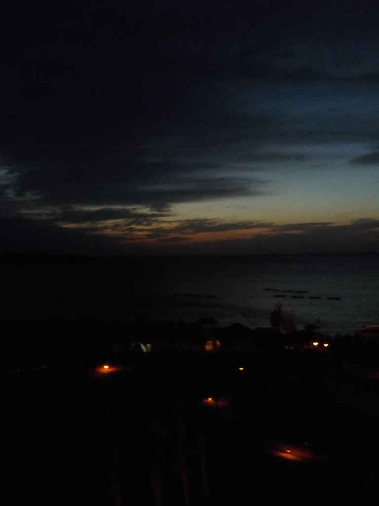 DSCN3897