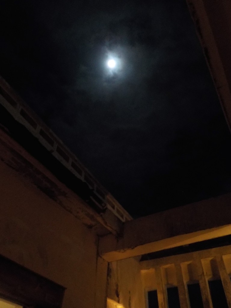 DSCN3919