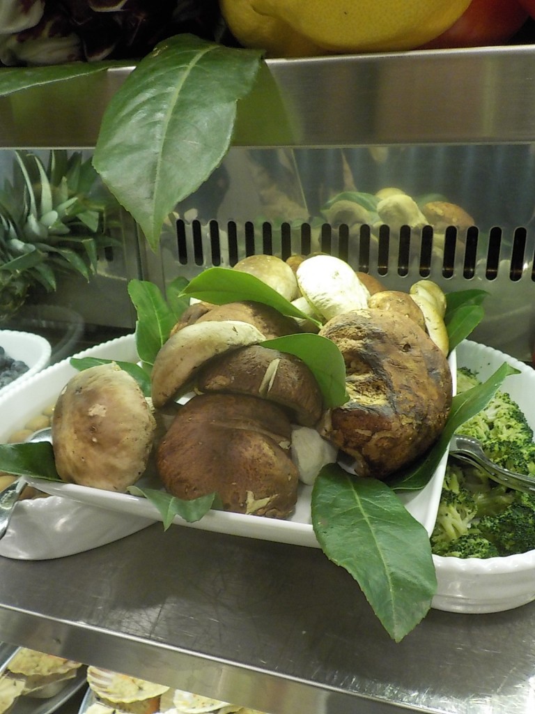 DSCN3695