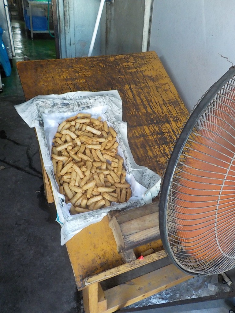 DSCN4252
