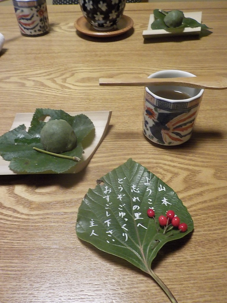 DSCN4275