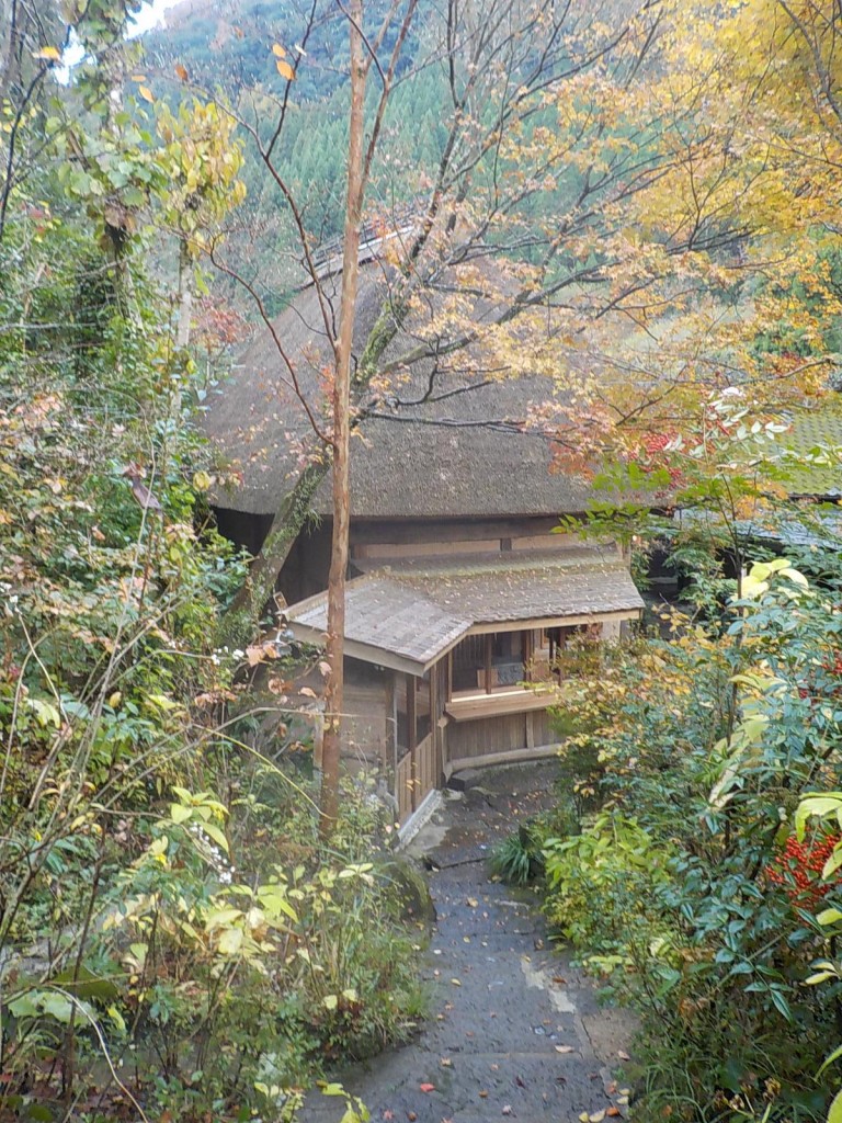 DSCN4342