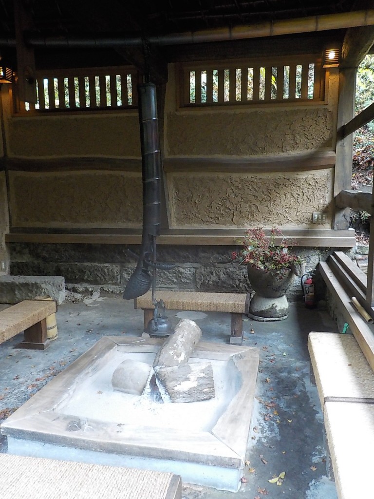 DSCN4365