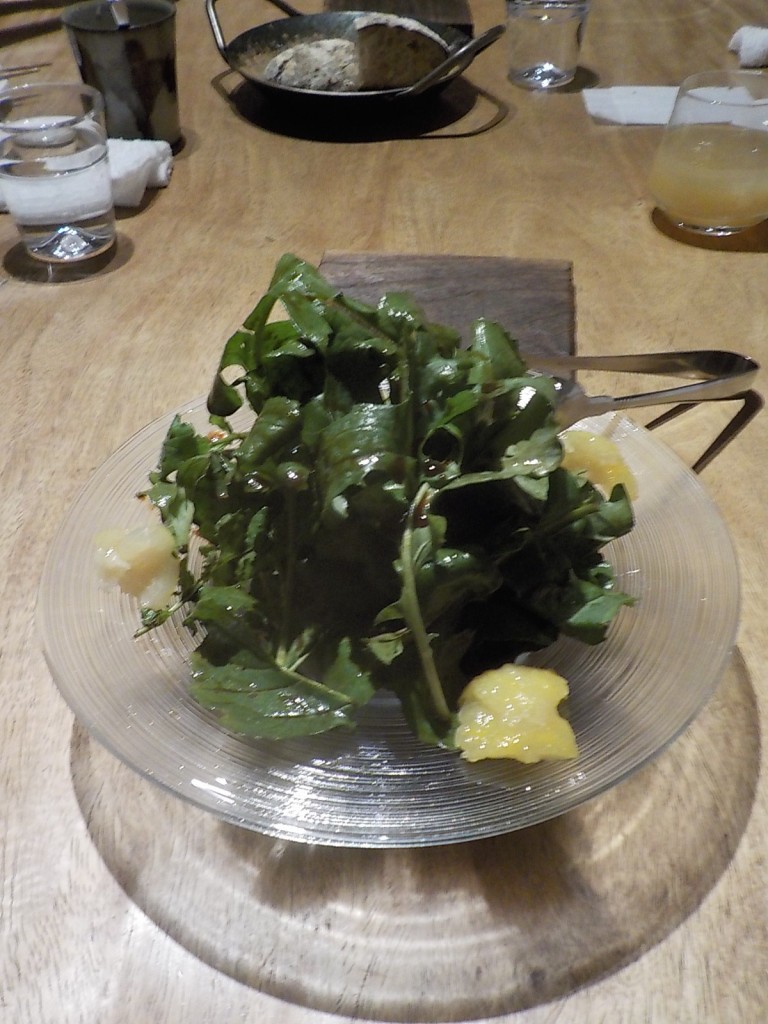 DSCN4579