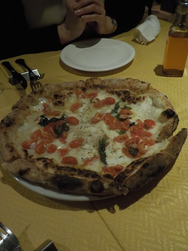 DSCN4662