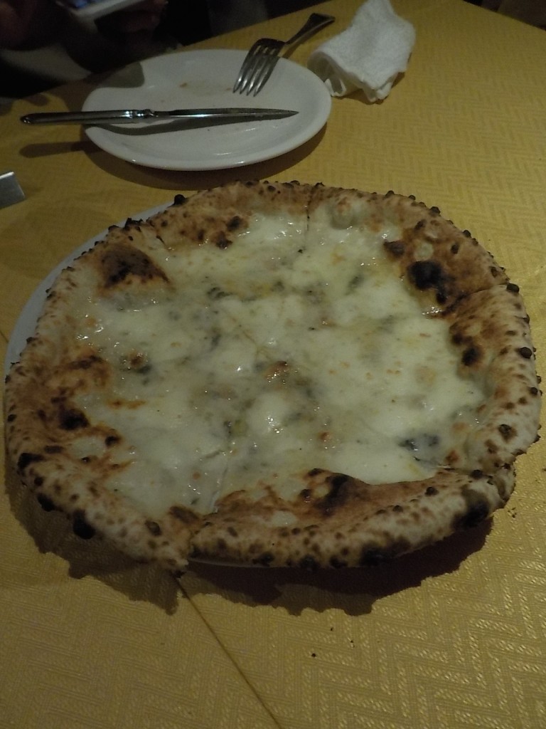 DSCN4663