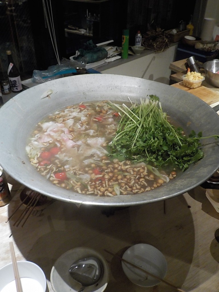 DSCN4684