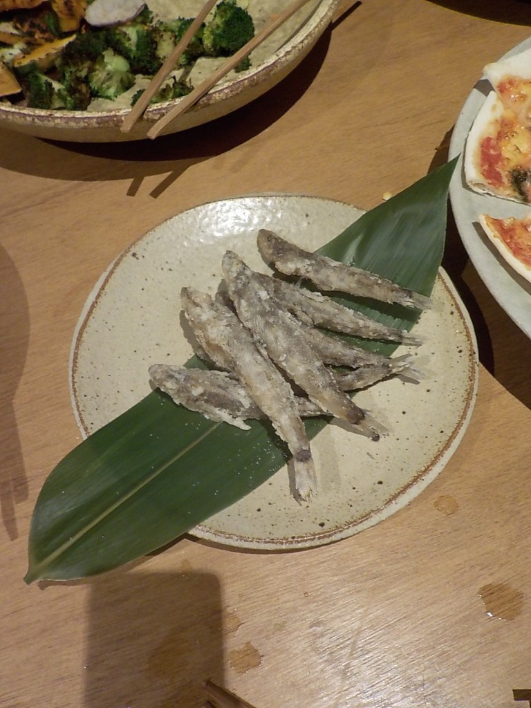 DSCN4706