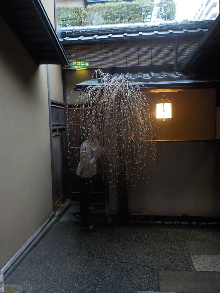 DSCN4792