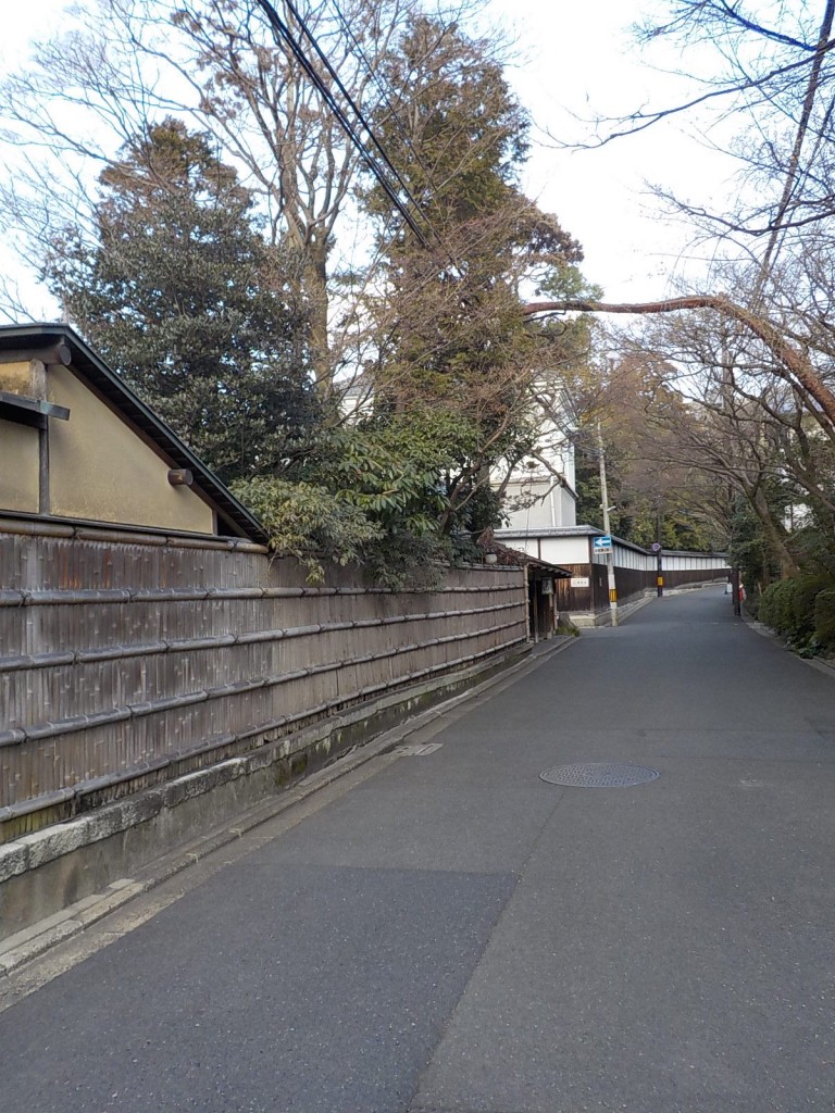 DSCN6410