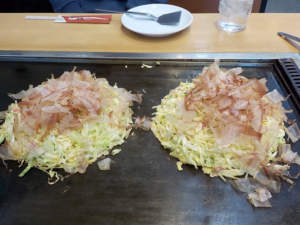 DSCN6547