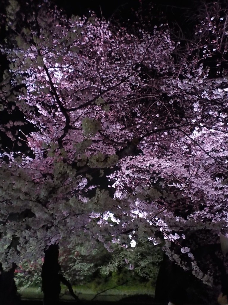DSCN6920