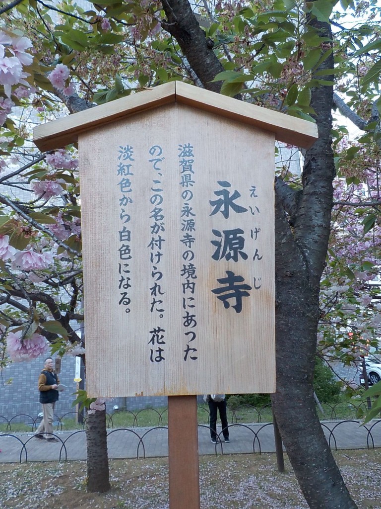 DSCN7129