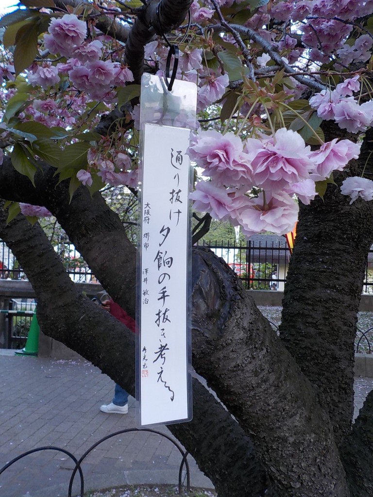 DSCN7130