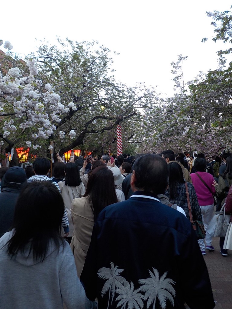 DSCN7144