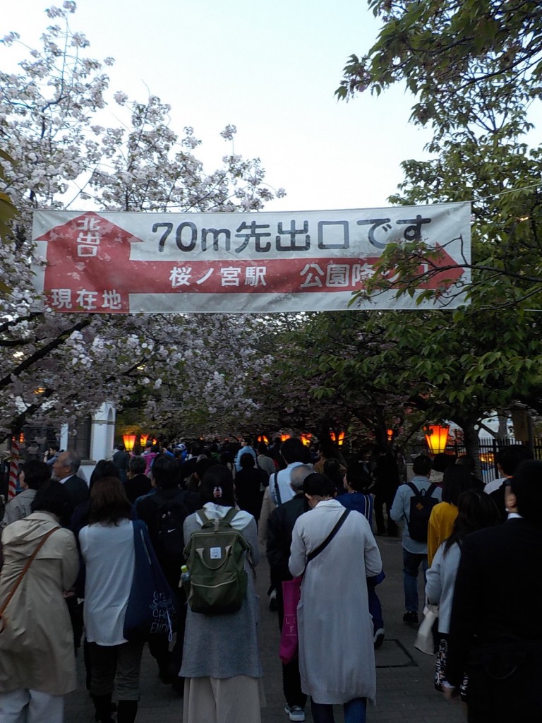 DSCN7156