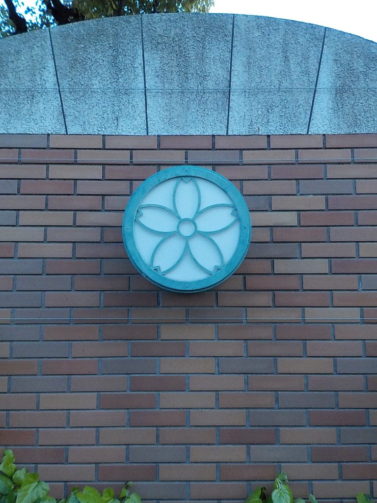 DSCN7165