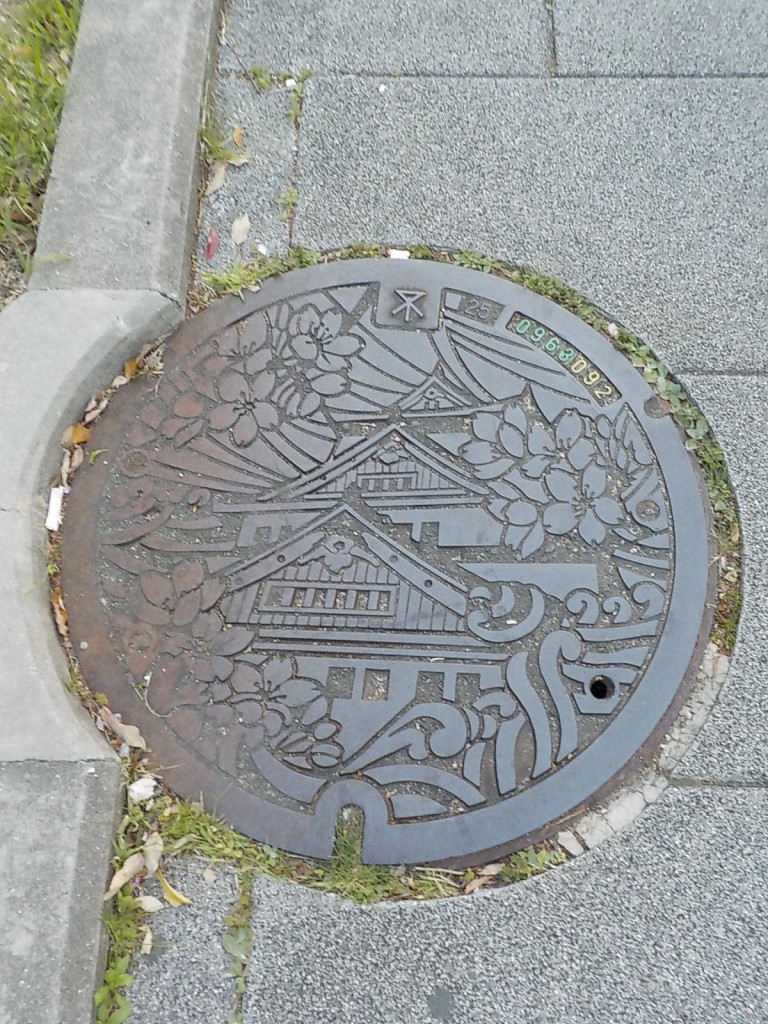 DSCN7166