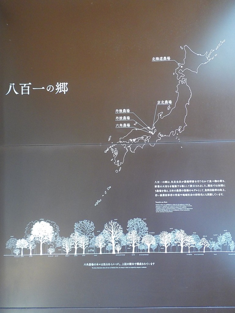 DSCN7672