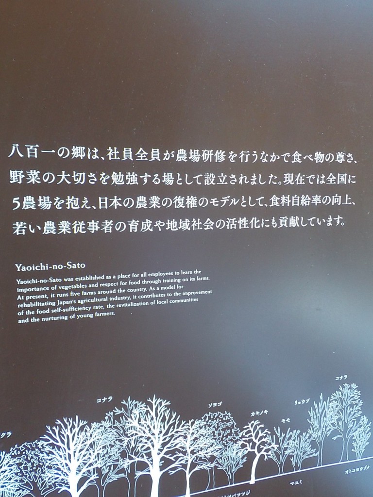DSCN7675