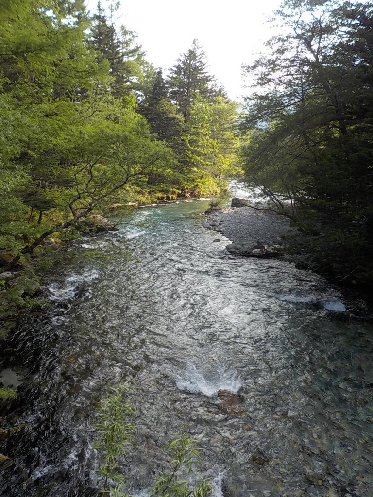 DSCN8119
