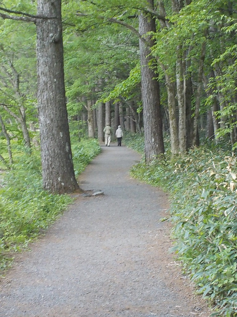 DSCN8133