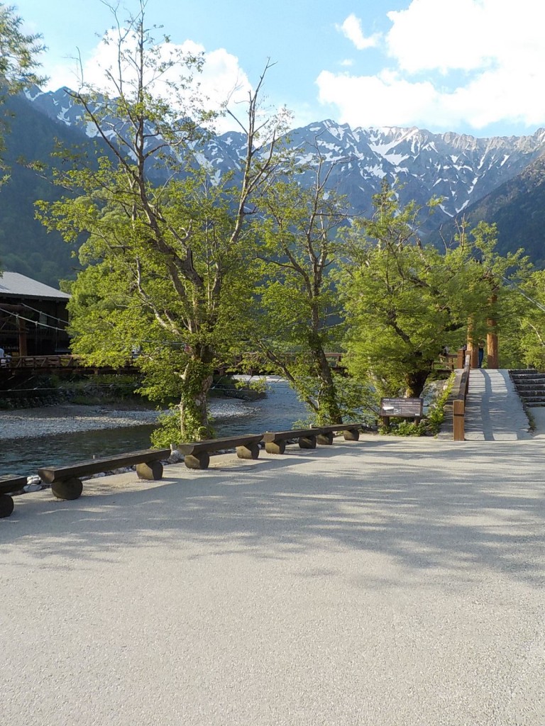 DSCN8147