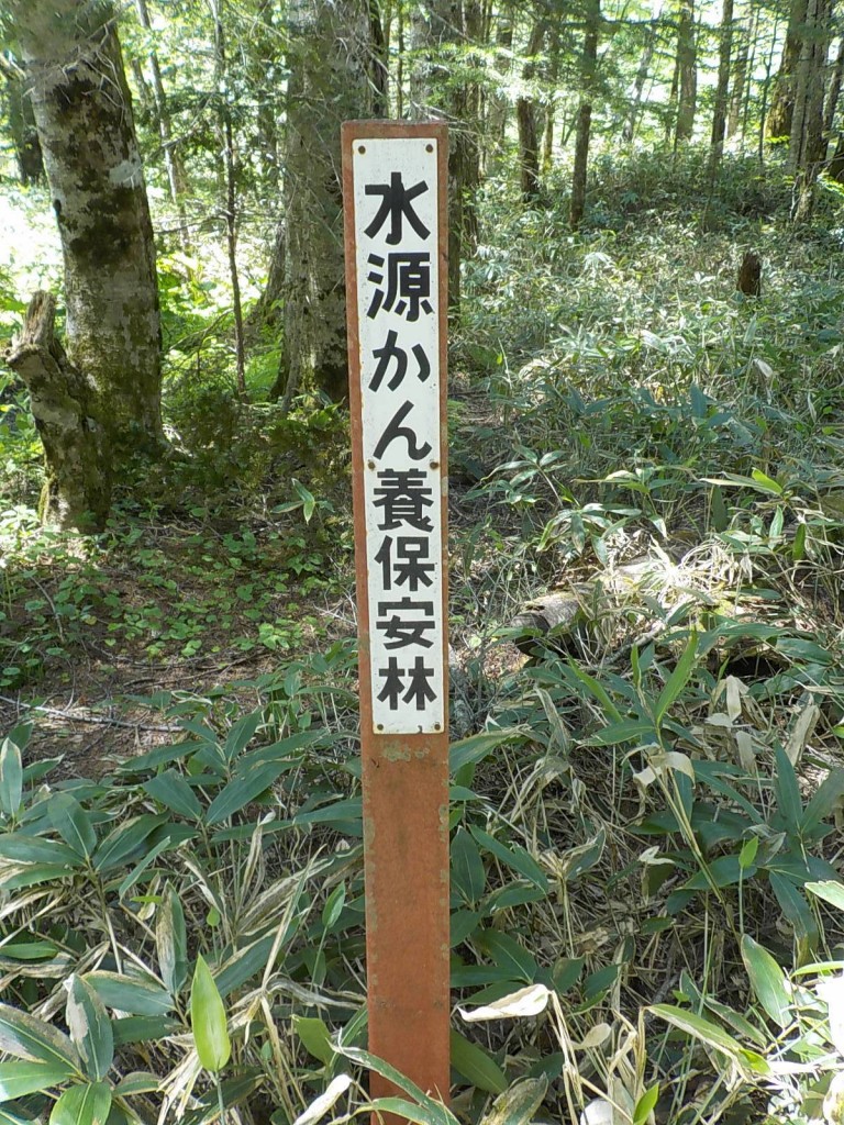 DSCN8276