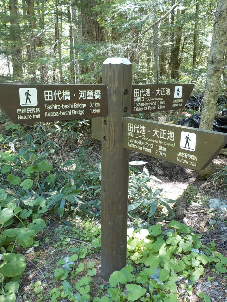 DSCN8278