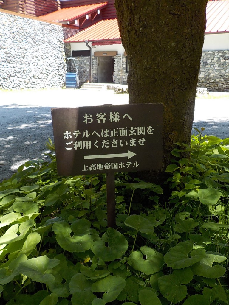 DSCN8334