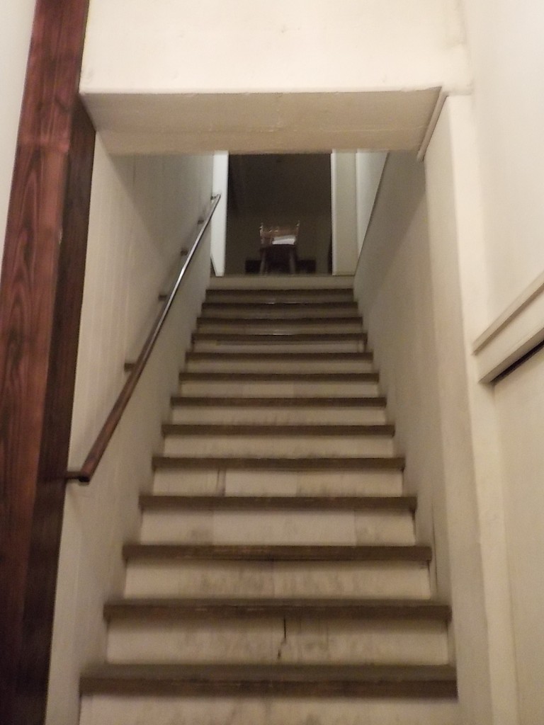 DSCN8672