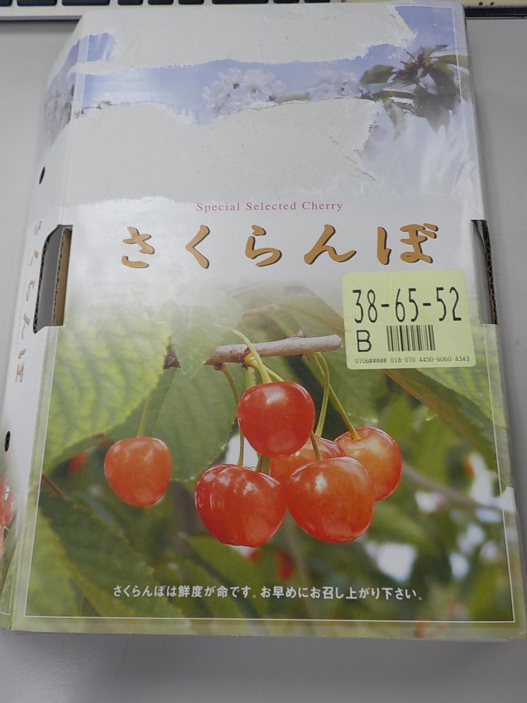 DSCN8874